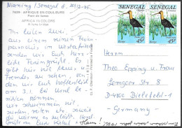 Senegal Postcard Mailed To Germany 1985. 90F Rate Bird Godwit Barge Stamp - Sénégal (1960-...)