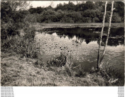 D24  EXCIDEUIL  Un Coin De La Rivière La Loue - Andere & Zonder Classificatie