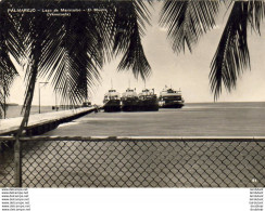 VENEZUELA  PALMAREJO  Lago De Maracaibo - El Muelle - Venezuela