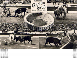 D31  TOULOUSE  Arènes Du Soleil D' Or- Un Quite Pendant La Chute Du Matador Recondo  ... - Corridas