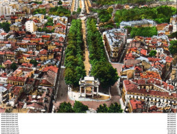 D31  TOULOUSE  Le Monument Aux Combattants De La Hte Garonne Et Les Allées François Verdier  ... - Toulouse