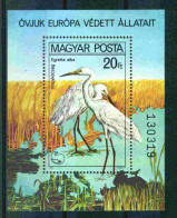 Hungary 1980 Egretta Alba Y.T. BF 150 ** - Blocs-feuillets