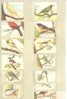 OISEAUX - Lot De 13 Cartes (125386) - Vögel