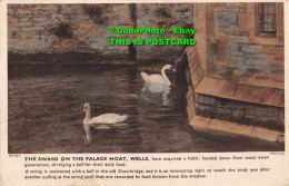 R358916 Wells. The Swans On The Palace Moat. F. Frith - Monde