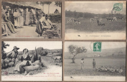 LOT 20 CPA AGRICULTURE ANIMATIONS CULTURES ELEVAGE FERMES VACHES TROUPEAUX DESSINS PAYSANS - Other & Unclassified