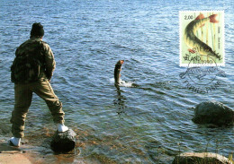 ALAND CARTE MAXIMUM 1990 PECHE - Ålandinseln
