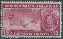 Newfoundland 1937 SG263 15c Red Harp Seal Thin On Back MLH - 1865-1902