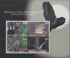 Tonga Express 2012 SGE6 Barn Owl MS MNH - Tonga (1970-...)