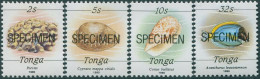Tonga 1988 SG1000a-1008a Shells Chaulk-surfaced Paper Specimen Set MNH - Tonga (1970-...)