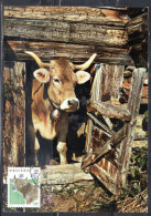 SWITZERLAND SUISSE SCHWEIZ SVIZZERA HELVETIA 1990 FAUNA ANIMALS COW 10c MAXI MAXIMUM CARD CARTE - Cartas Máxima