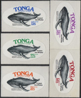 Tonga 1977 SG628-632 Whale Conservation Set MNH - Tonga (1970-...)