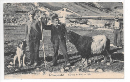 L'HOSPITALET - Capture Du Bouc Du Sisca - Autres & Non Classés