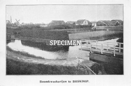 Prent - Boomkwekerijen Te Boskoop   - 8.5x12.5 Cm - Boskoop