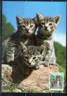 SWITZERLAND SUISSE SCHWEIZ SVIZZERA HELVETIA 1990 FAUNA ANIMALS HOUSE CATS 50c MAXI MAXIMUM CARD CARTE - Maximumkaarten