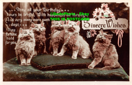 R358753 Sincere Wishes. Five Cats. RP. Postcard. 1931 - World