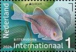 The Netherlands / Nederland - Postfris / MNH - Europa, Underwater World 2024 - Ongebruikt