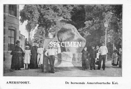 Prent - De Beroemde Amerfoortsche Kei - Amersfoort - 8.5x12.5 Cm - Amersfoort