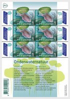The Netherlands / Nederland - Postfris / MNH - Sheet Europa, Underwater World 2024 - Ongebruikt