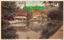 R358787 Guildford. The River Wey. Photochrom - World