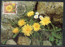 SWITZERLAND SUISSE SCHWEIZ SVIZZERA HELVETIA1991PRO JUVENTUTE FOUNDATION FLOWERS HIERACIUM90+40c MAXI MAXIMUM CARD CARTE - Maximum Cards