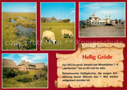 72787969 Hallig Groede Landschaftspanorama Schafe Bootsanleger Faehre Hallig Gro - Sonstige & Ohne Zuordnung