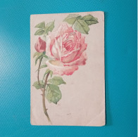 Cartolina Rosa. Viaggiata 1920 - Fiori