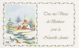 FANTAISIE, NOUVE AN, PAYSAGE HIVERNAL COULEUR REF 16332 - Anno Nuovo