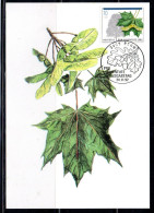 SWITZERLAND SUISSE SCHWEIZ SVIZZERA HELVETIA1992TREES CHRISTMAS PRO JUVENTUTE NORWAY MAPLE70+30c MAXI MAXIMUM CARD CARTE - Cartoline Maximum