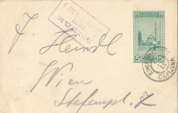 Bosnia-Herzegovina/Austria-Hungary, Postal Stationery-year 1914, Auxiliary Post Office/Ablage RUZICI, Type A1 - Bosnien-Herzegowina