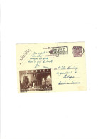 Carte Postale Publibel 959 - Werbepostkarten