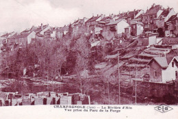 39 - Jura - CHAMPAGNOLE - La Riviere D Ain - Vue Prise Du Parc De La Forge - Champagnole