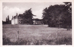 41 - Loir Et Cher - CELLETTES - Le Parc Et Le Chateau De Beauregard - Andere & Zonder Classificatie