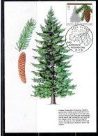 SWITZERLAND SUISSE SCHWEIZ SVIZZERA HELVETIA 1992 TREES CHRISTMAS PRO JUVENTUTE SPRUCE 90+40c MAXI MAXIMUM CARD CARTE - Maximumkaarten