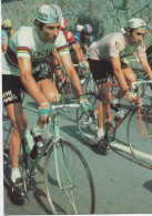 CYCLISME  Giro  1974 GIMONDI MERCKX   Carte N°4    Série De 6 Cartes  Spéciales GIRO - Ciclismo