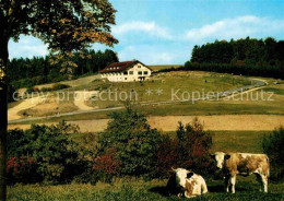 72786474 Waldmichelbach SonnenCafe Kreidacher Hoehe Wald-Michelbach - Autres & Non Classés