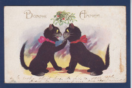 CPA Chat Cat Barnes Florence House Position Humaine écrite - Gatti