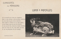 Curiosités Du Périgord Lapin à Bretelles (rare) - Altri & Non Classificati