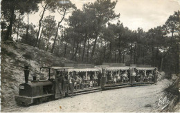 Cap Ferret Petit Train Forestier - Autres & Non Classés