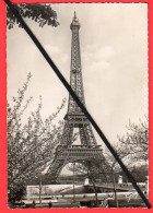 CPSM-(Lots -Vrac)5-99-9Cartes-PARIS-la Tour EFFEL-1956-Monmartre Pl Du Tertre-1955.-Paris La Nuit.1957."1964.-1963.----- - 5 - 99 Postales