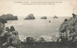 CAMARET : POINTE DE PENHIR - Camaret-sur-Mer