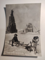 SALUTI DAL PICCOLO S. BERNARDO  LA THUILLE CANE DOG KIND BIMBAAOSTA   VIAGGIATA COME DA FOTO - Aosta