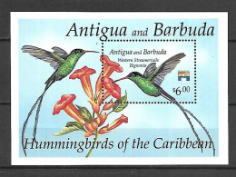 Antigua & Barbuda 1992 Birds - Hummingbirds Of The Caribbean #2 MS MNH - Colibríes