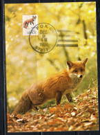 USA STATI UNITI 1978 WILD LIFE ANIMALS RED FOX 13c MAXI MAXIMUM CARD CARTE CARTOLINA - Maximum Cards