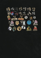 77727-Collection De 31 Pin's Corse. - Steden