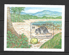 Antigua & Barbuda 1989 Animals - Giant Rice Rat MS MNH - Antigua En Barbuda (1981-...)
