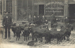 10 - TROYES -  Nos Chèvres - Etat - Troyes