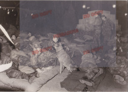 Fixe Guerre D'Algérie 1954-1962 Beau Format Argentique Manifestation Parachutiste - War, Military