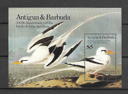 Antigua & Barbuda 1985 Birds - John James Audubon MS MNH - Antigua Et Barbuda (1981-...)