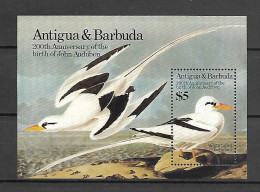 Antigua & Barbuda 1985 Birds - John James Audubon MS MNH - Antigua Und Barbuda (1981-...)