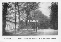 Prent - Hotel Bosch Van Bredius In 't Bosch Van Bredius - Bussum   - 8.5x12.5 Cm - Bussum
